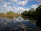 C Everglades 051 : Everglades